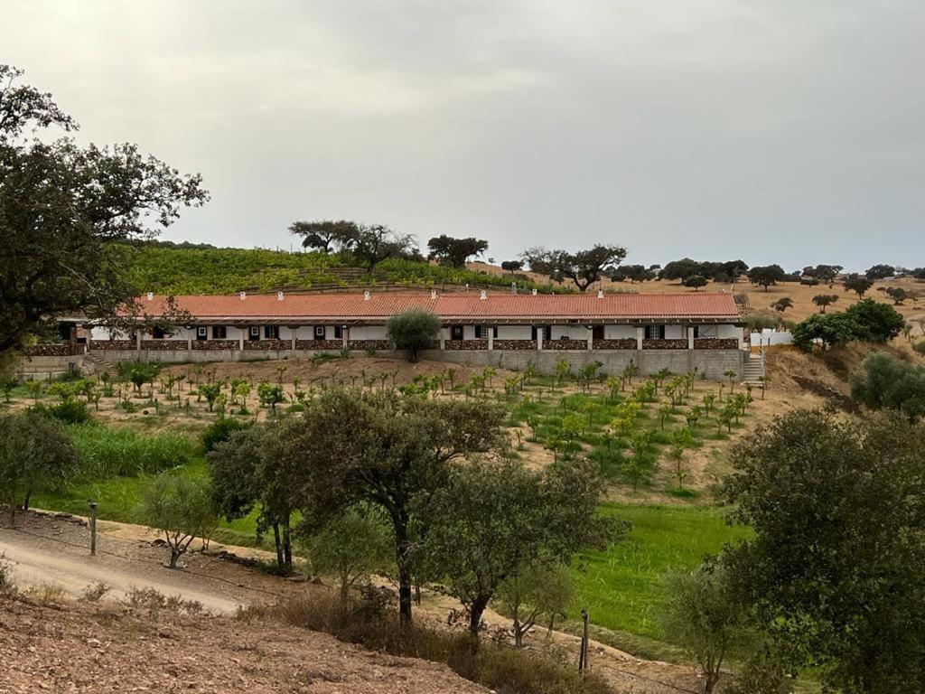 Herdade Da Moringa