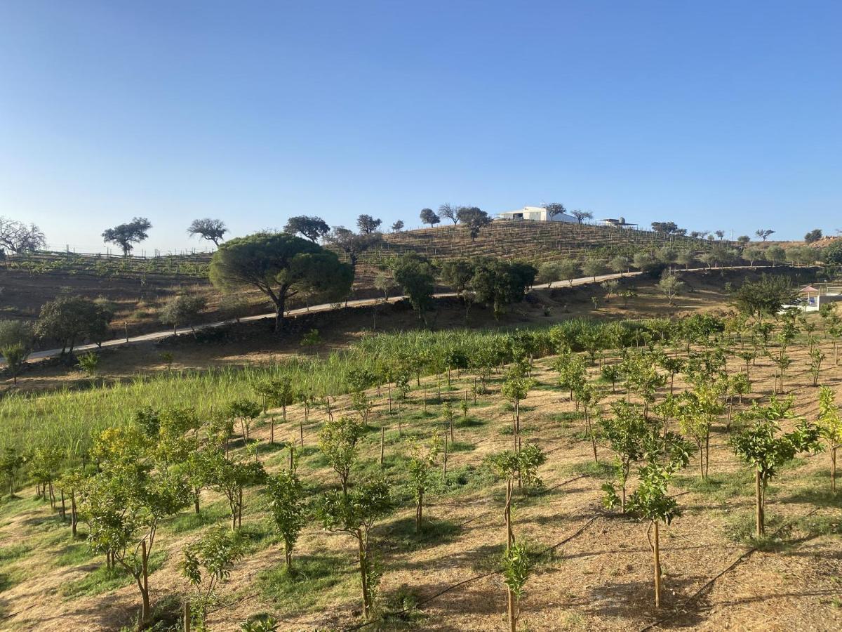 Alojamento de Turismo Rural Herdade Da Moringa